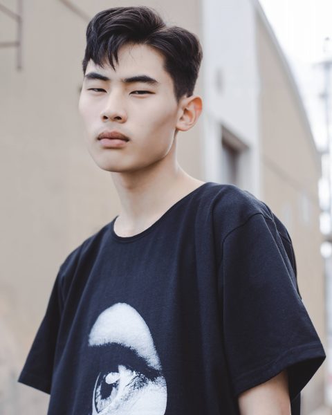 布里斯托城足球俱乐部英超,布里斯托尔城足球俱乐部logo