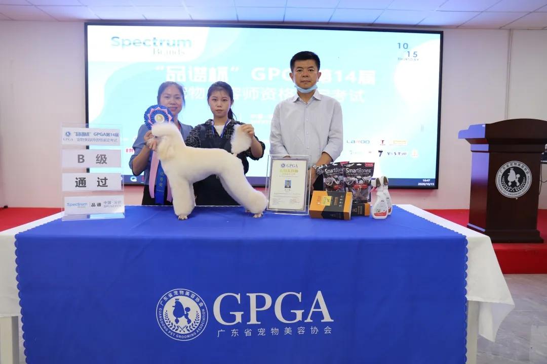 成绩公布！“品谱杯”GPGA第14届宠物美容师资格鉴定考试