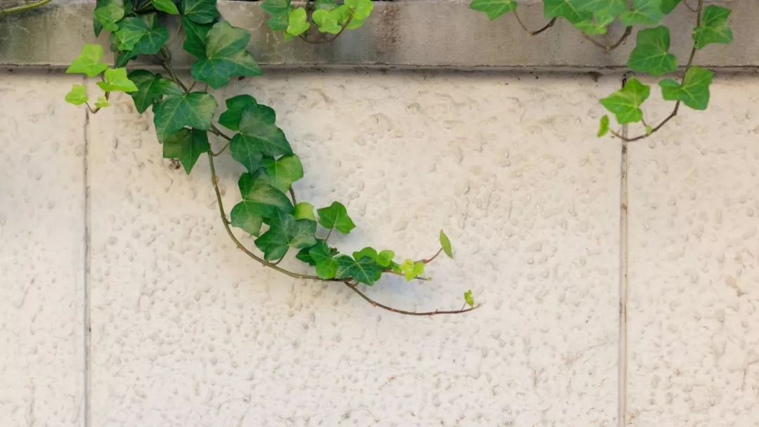 早恋怎么办？这位名师的化解高招，值得借鉴！