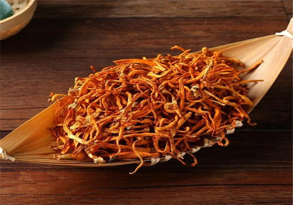 蛹虫草人工种植好种吗,蛹虫草的培育技术与管理