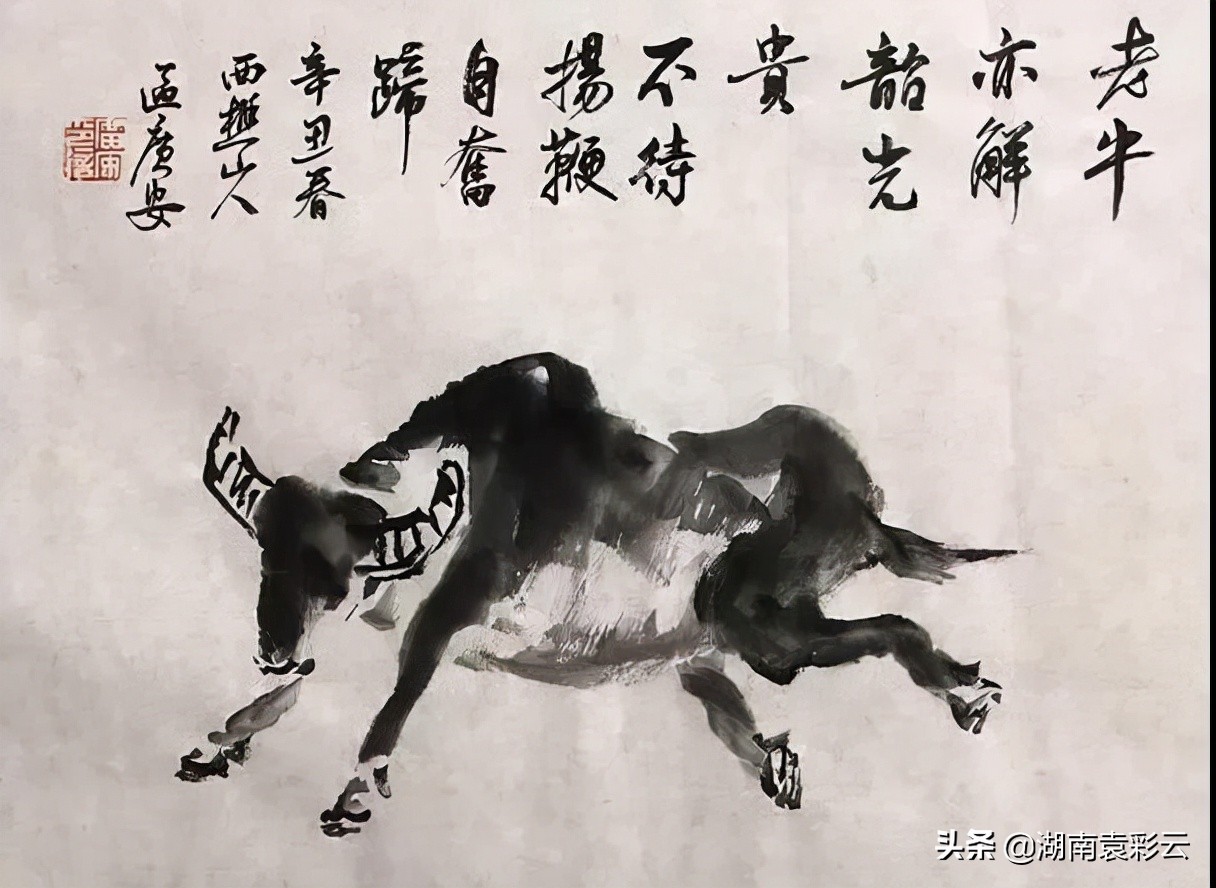 湖南袁彩云05‖香港女医生叶青与“袁彩云经验集”的缘分