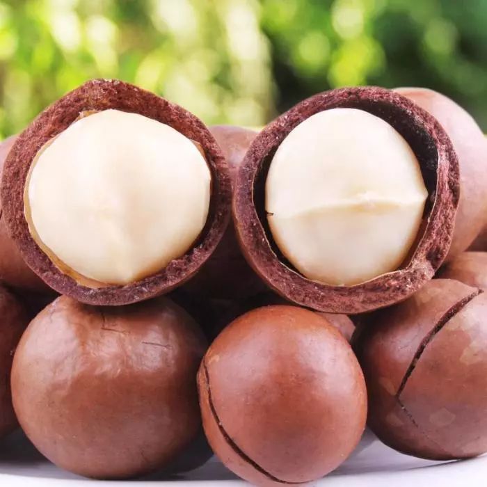 三十种不能吃的小食品,不能喂猫的食物