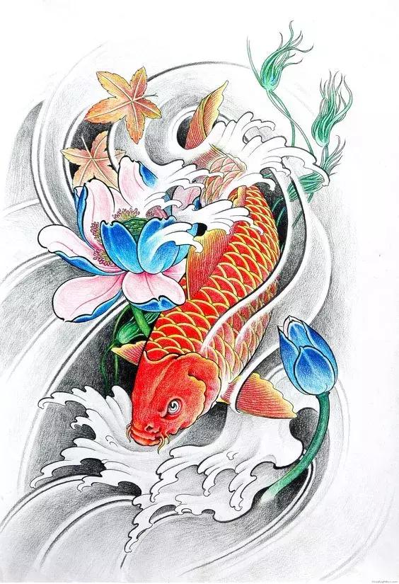 转运锦鲤简笔画,简笔画100种锦鲤图片