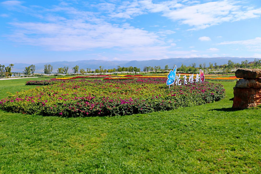 弥勒太平湖森林木屋酒店团购直播,弥勒太平湖森林木屋酒店有温泉
