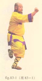 少林心意门拳视频教程,少林长护心意拳图解