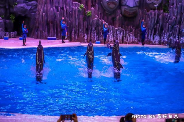 珠海亲子游必玩景点,珠海一日游适合带孩子玩的景点