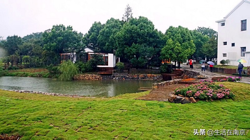 2019年南京美丽乡村游,南京周边美丽乡村游推荐