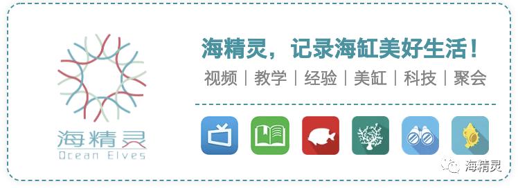 海水白点处理,海水白点病的严重程度怎么判断