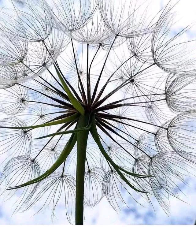 沐易讲道德经第二十七章,曾仕强道德经第十章讲解