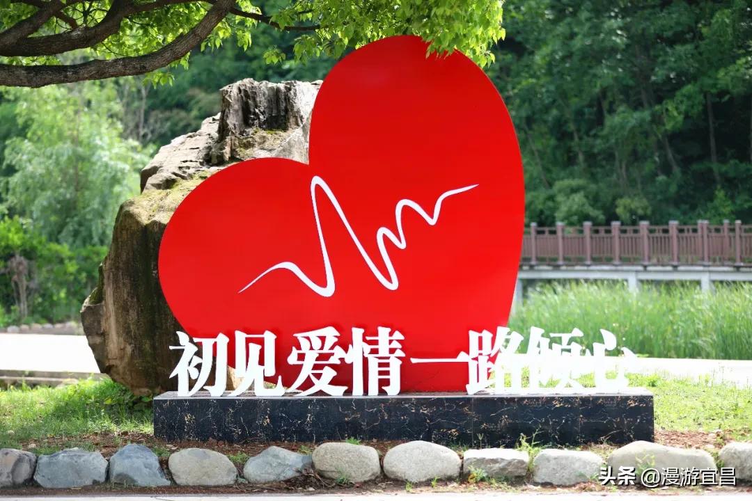 相约山楂树宜昌旅游宣传微电影,宜昌景点山楂树之恋