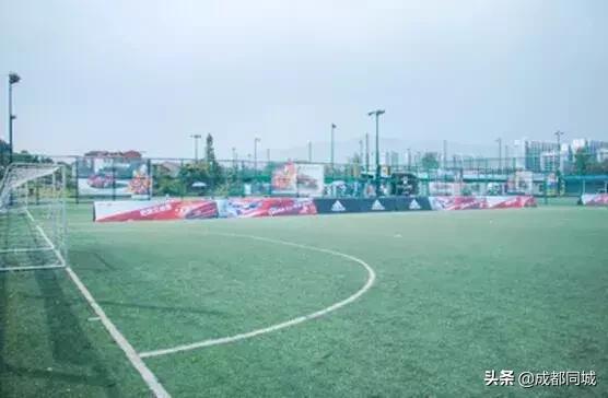 成都公共球场,成都公共体育场馆