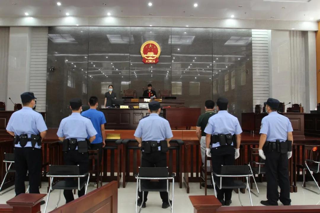 广西百色传销案,广西百色传销骗局2019