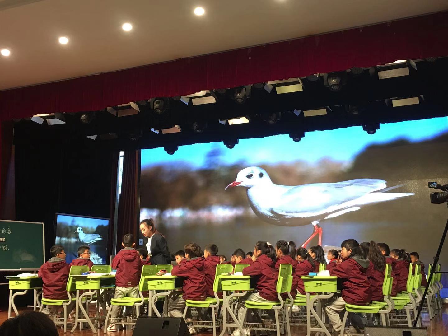 昆明西南联大附属学校小学,西南联大教育史