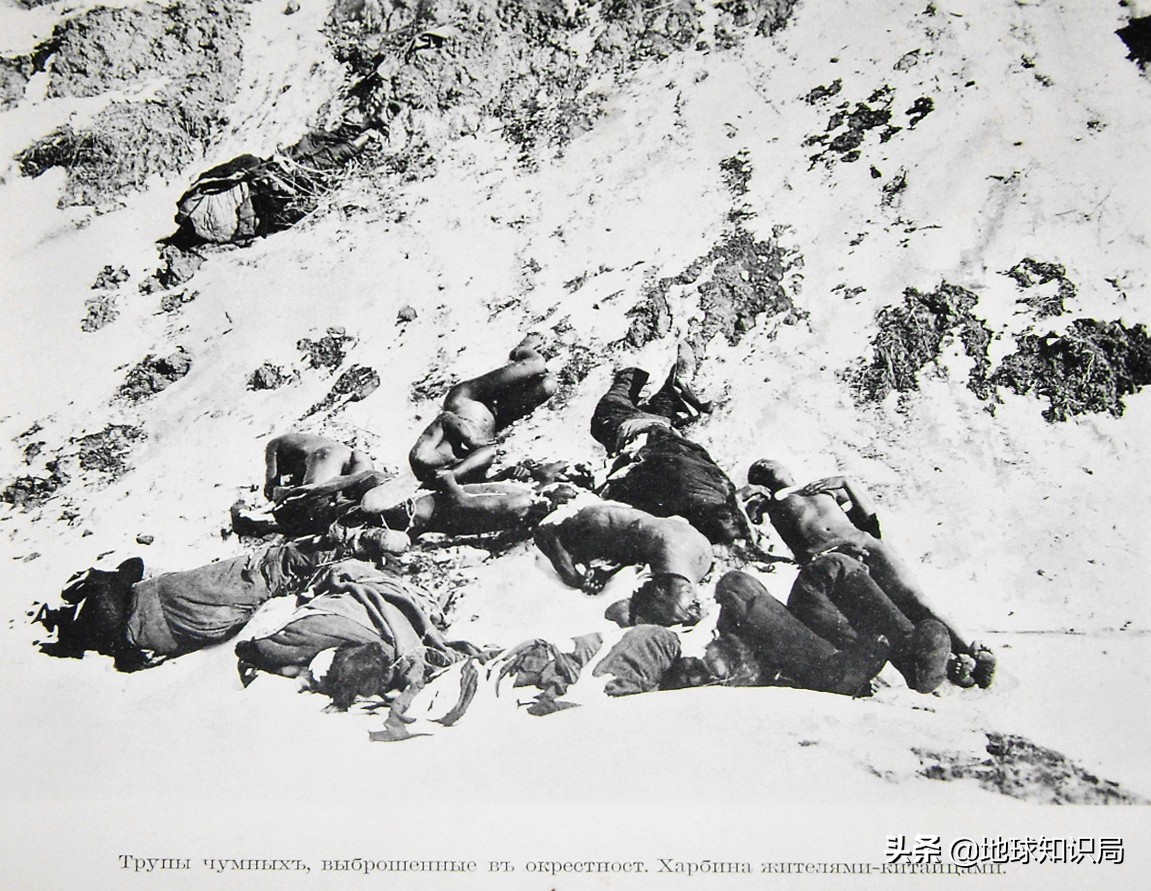 1905年东北鼠疫是如何控制的,熟悉1910年的东北鼠疫事件