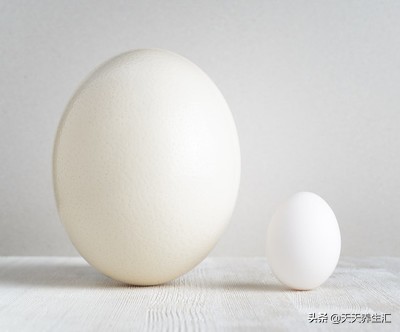 为什么中医提倡多吃五谷,天天吃五谷杂粮有什么好处吗