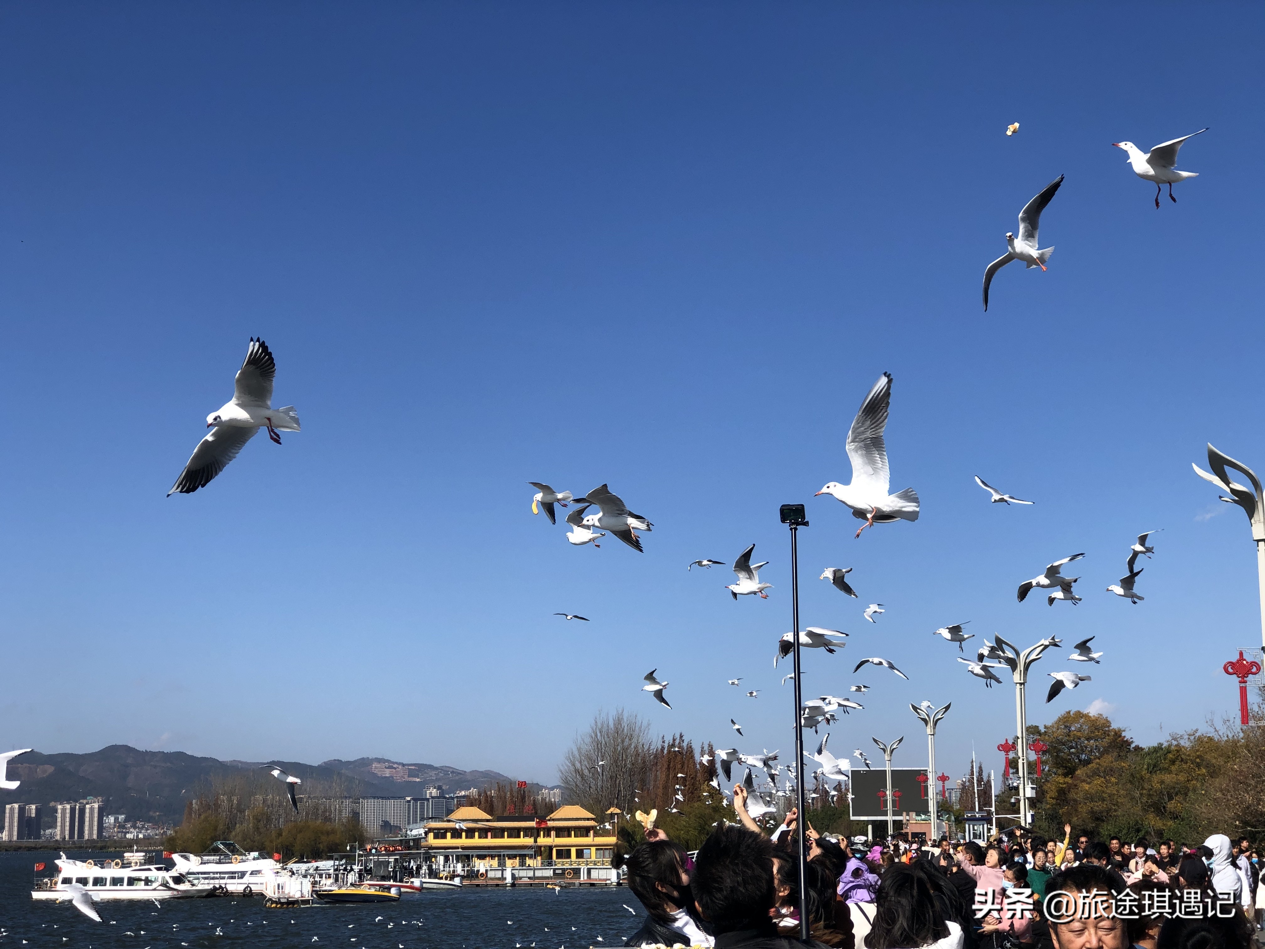 去云南要怎么玩才好呢,去云南玩最省钱的方法是什么