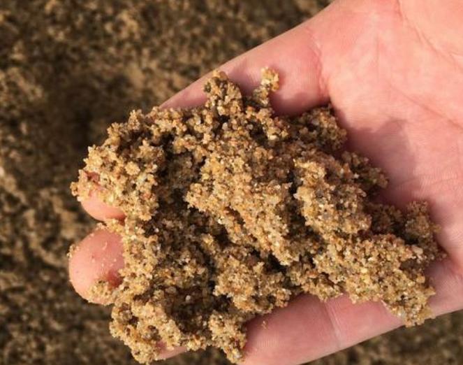 薄荷扦插生根最快方法,薄荷的正确扦插方法图