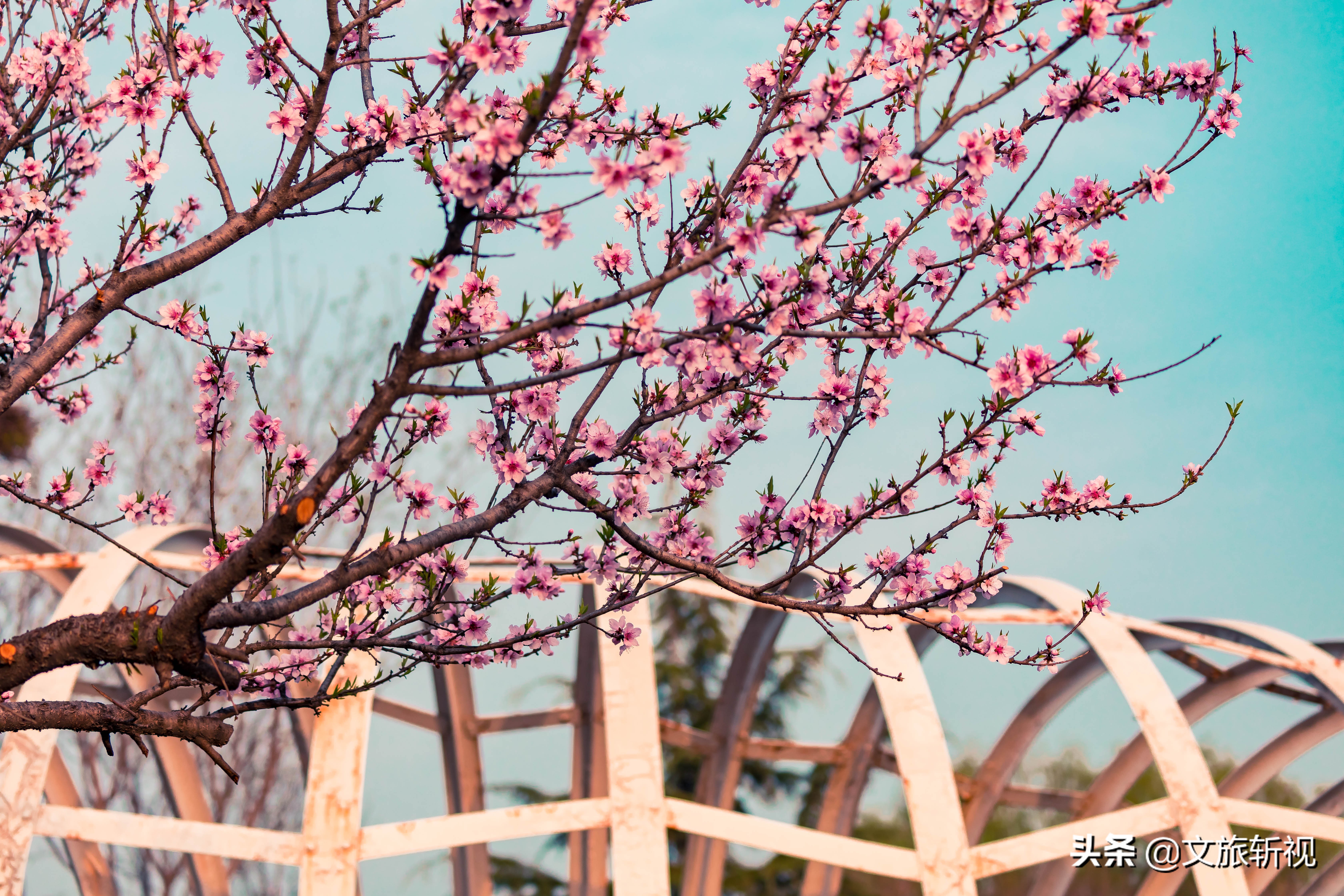 长清地铁规划最新消息,长清地铁最新规划图