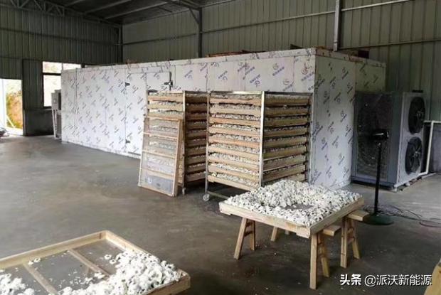 菊花烘干机家庭用,菊花烘干机视频大全