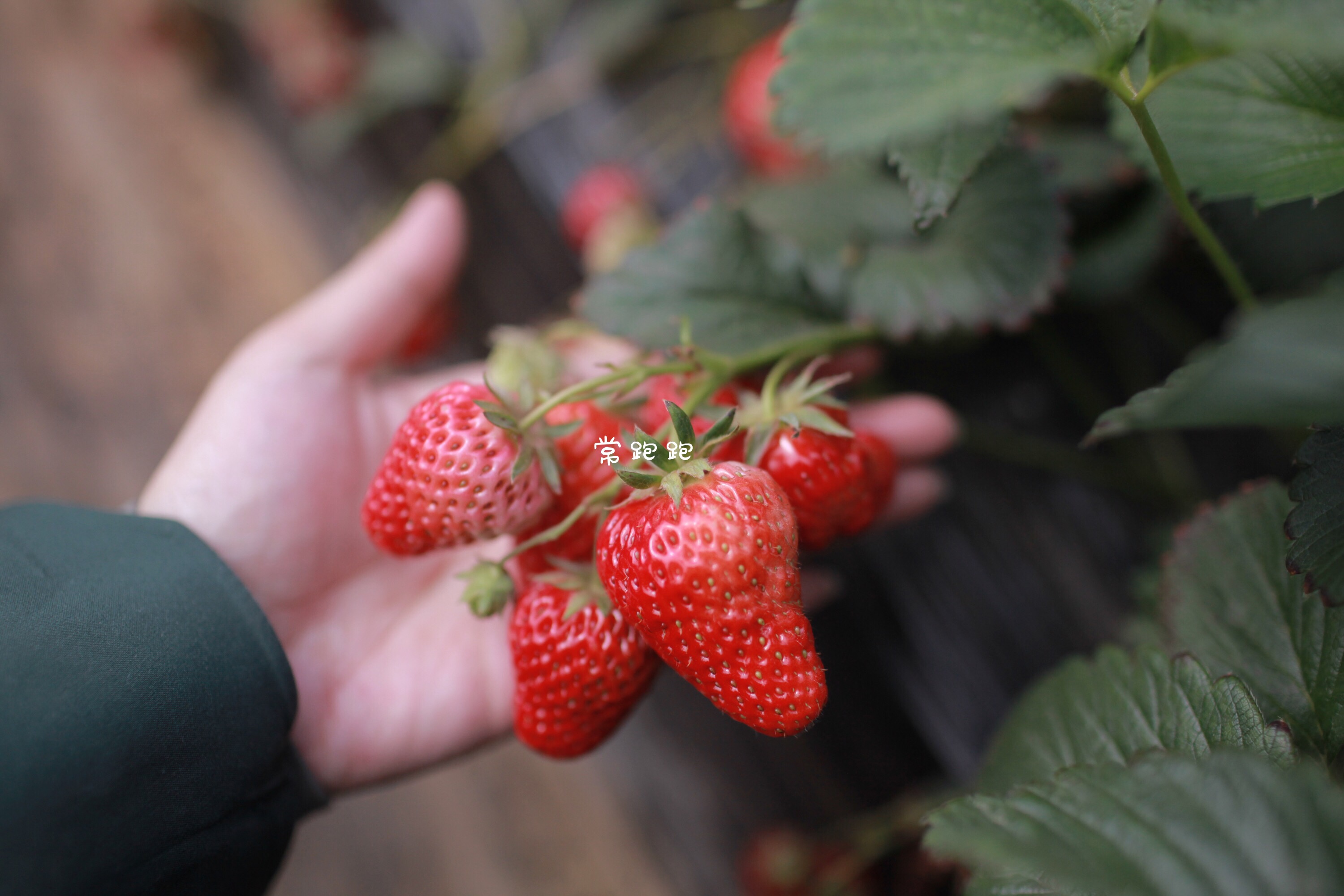 倚山傍水好地方,倚山傍水