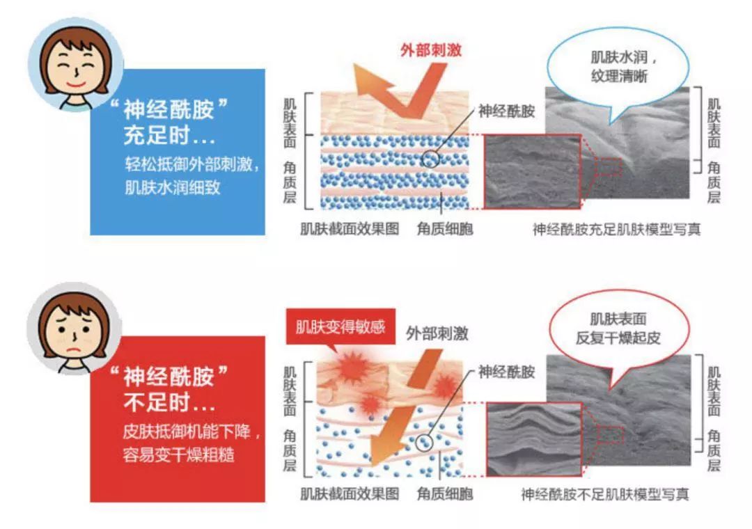 秋冬补水面霜推荐！高保湿不仅有科颜氏，珂润也不赖
