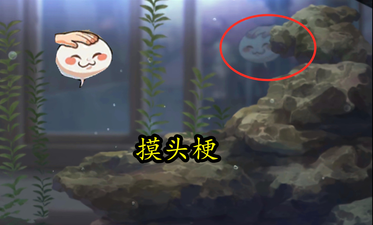 火影水族箱启动，女团忍者有专属场景！替身运动毛巾全民可得