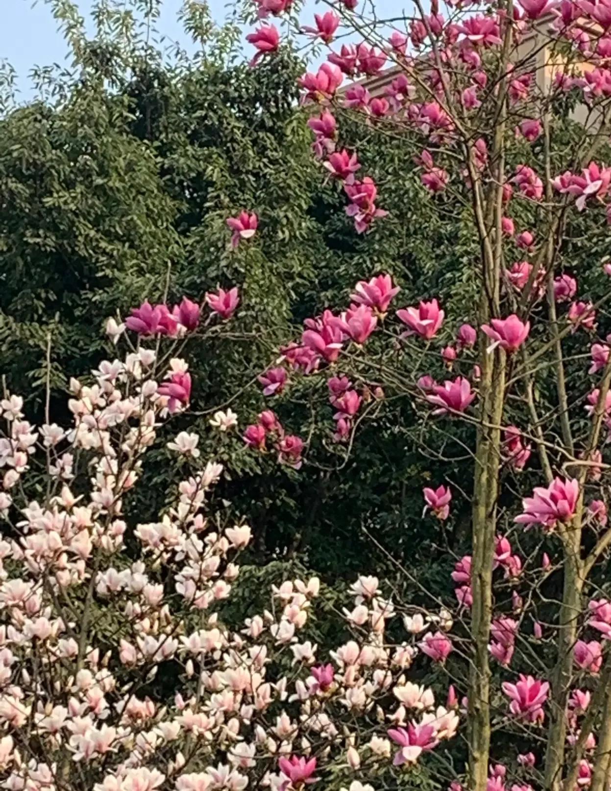 干掉错别字，只需要三步，贵在坚持