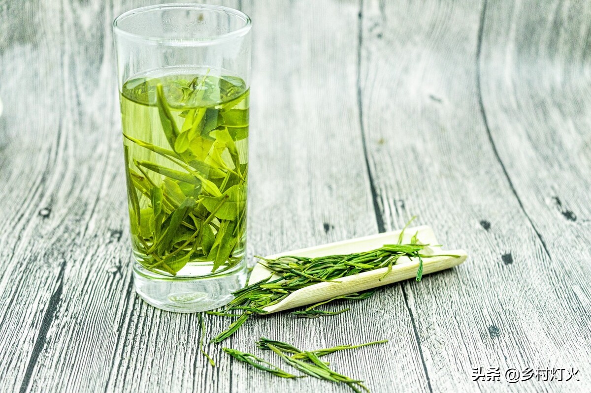 种植茶叶喷不喷药,自家种的茶叶没打农药怎么介绍