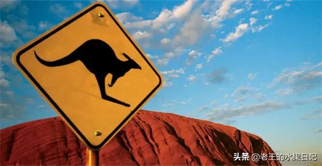 各国代购排行榜,曝光海外代购圈中黑幕