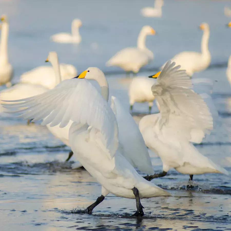 中国最具幸福感县级市江浙,中国最具幸福感县级市名单