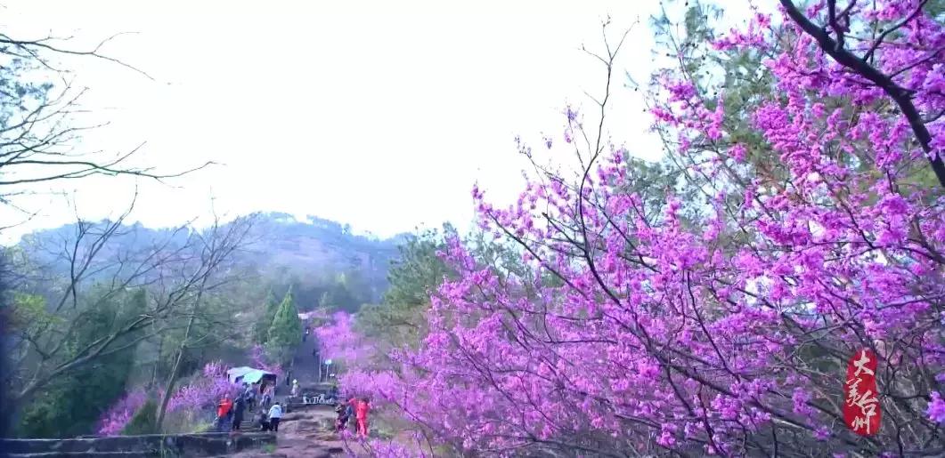 台州的风景哪里好,台州是个美丽的地方