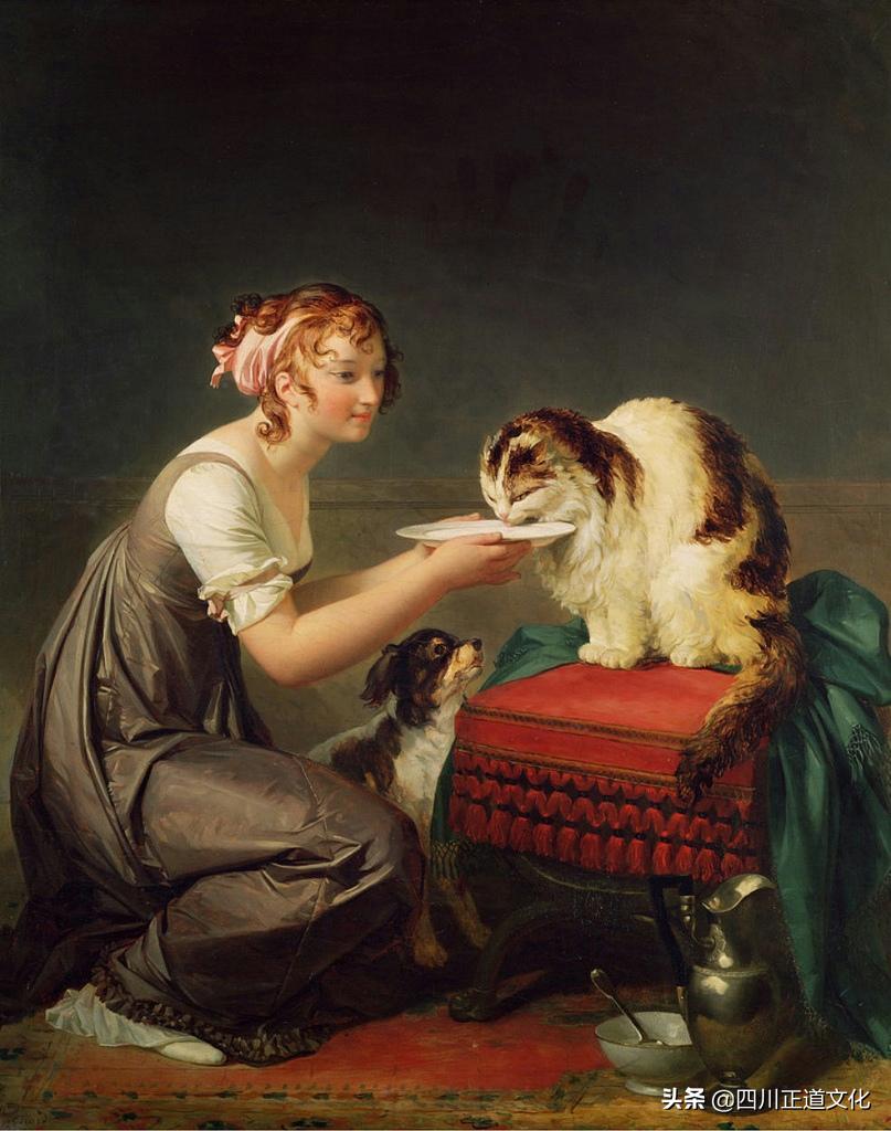 猫的故事,猫的故事视频