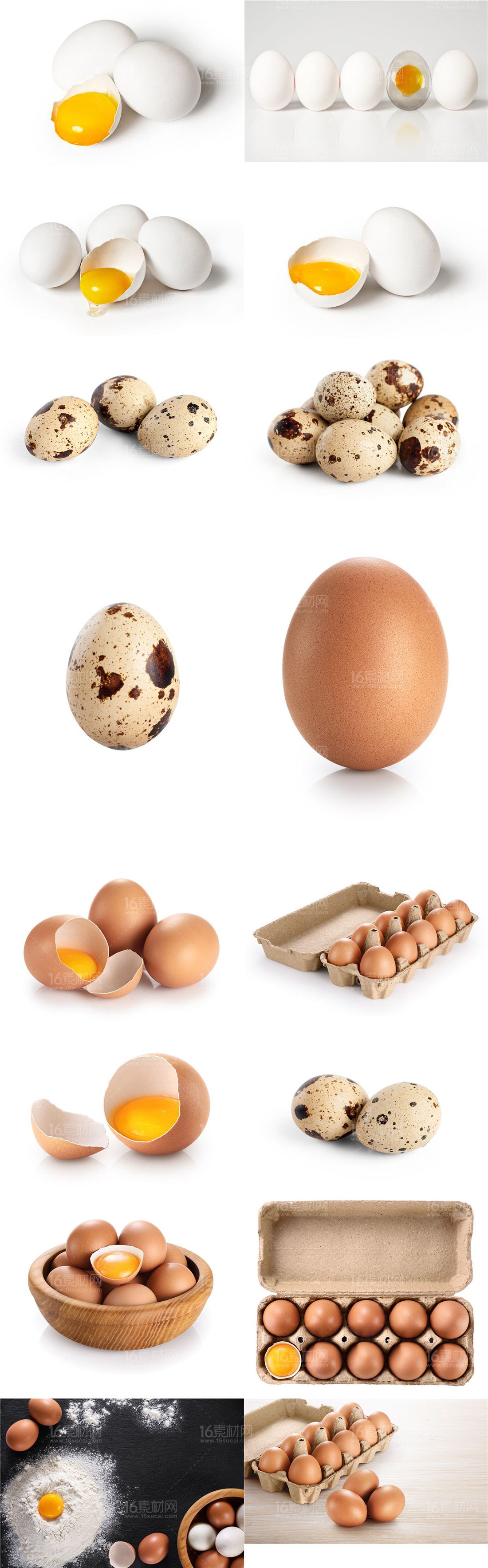 鸡蛋鸭蛋鹅蛋鹌鹑蛋哪个更安全,鸡蛋鸭蛋鹅蛋鹌鹑蛋的特点