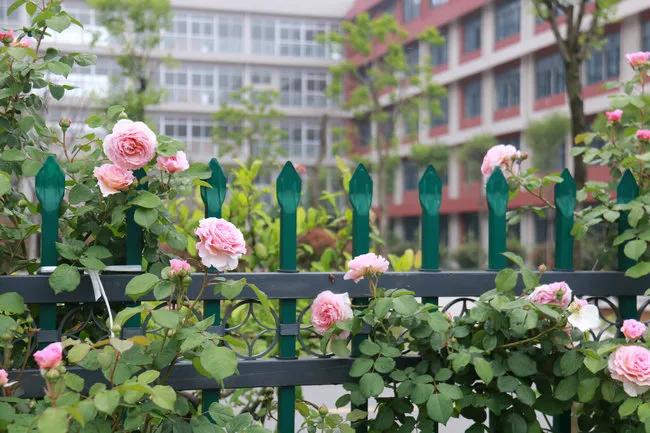 连云港华杰实验学校优点,名校巡礼海南中学