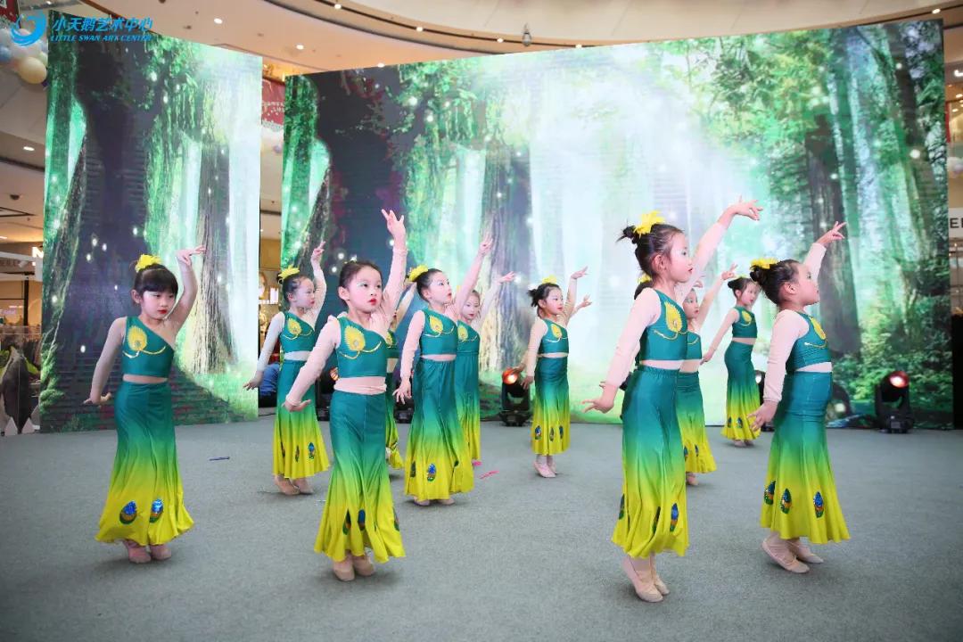 小天鹅艺术中心专场演出现场,小天鹅艺术中心专场演出