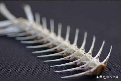 被鱼刺扎到喉咙喝醋吃馒头管用吗,鱼刺卡喉咙不能吞咽米饭和馒头