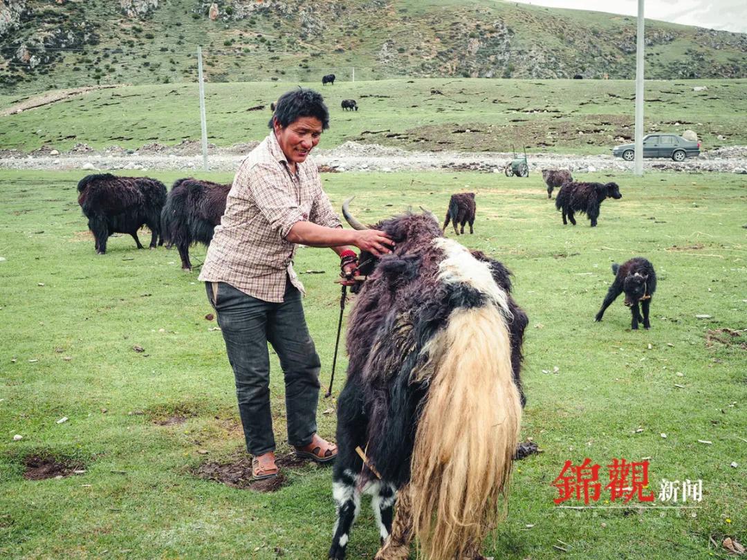 海拔4000米干工程,海拔4000米的施工队