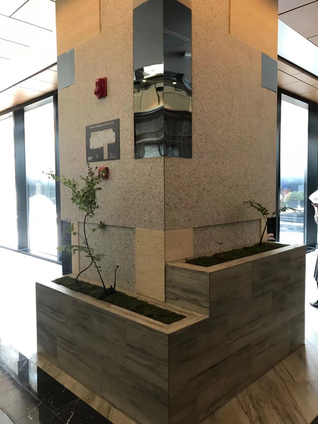 宁波阪急最新视频,宁波阪急真实视频