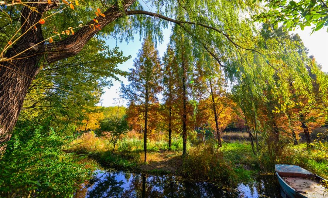 夏日好去处济南森林公园,济南森林公园雪景