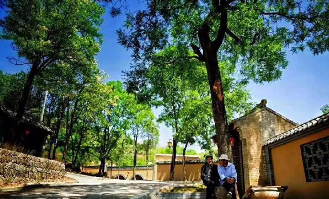 【开局“十四五”迈好第一步】回首2020,“数”说洛川成绩~