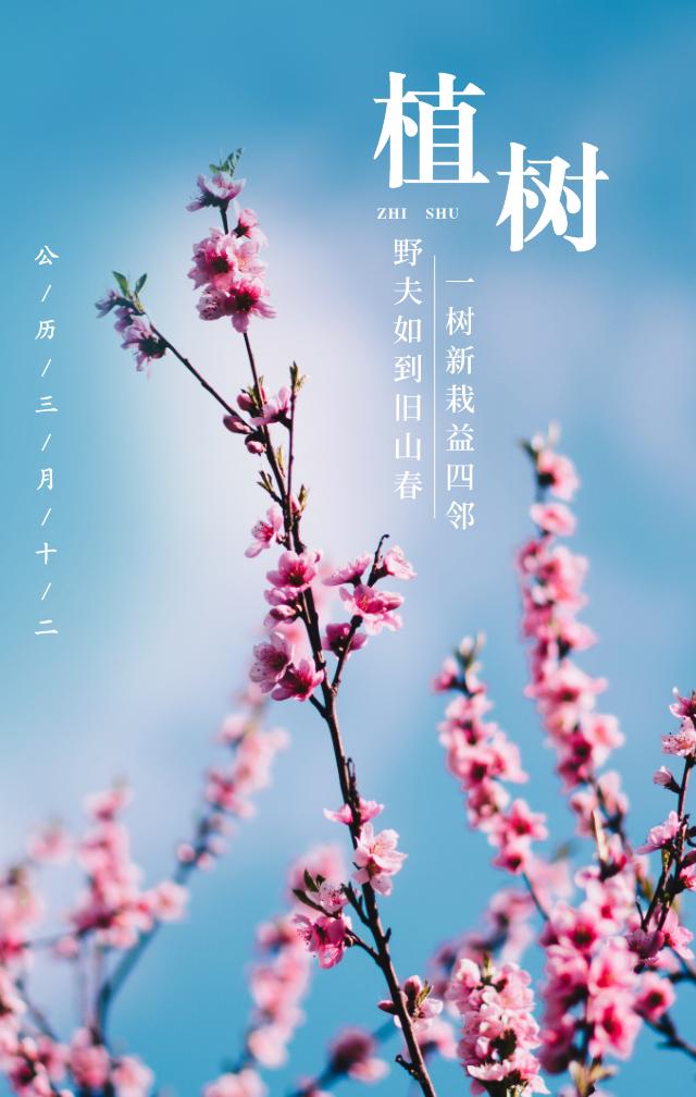 上海的热搜,最近热搜的上海