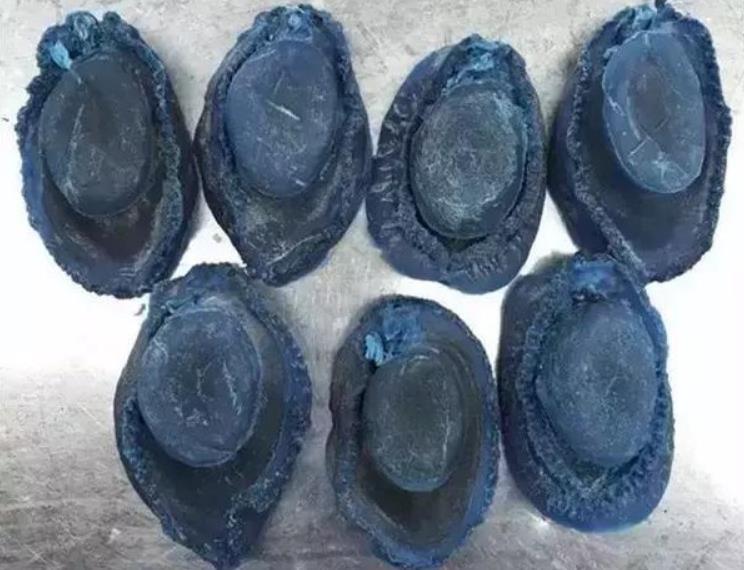 世界鲍鱼品种大全，你若知道其中5种，我叫你三声大哥