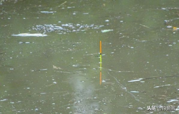 鱼竿越看越不知道怎么选,新鱼竿怎样调节浮漂