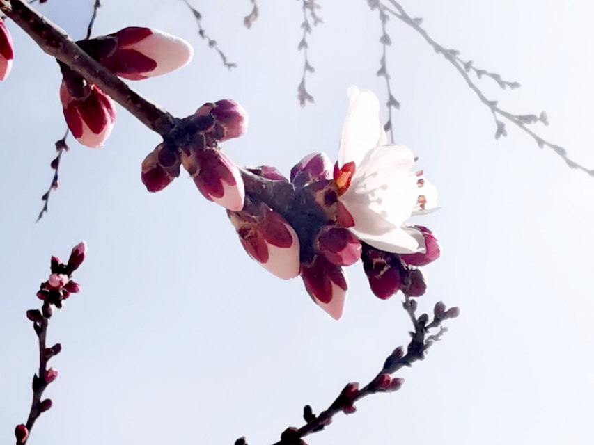 部编版语文注音汇总,部编二年级下册语文注音练习