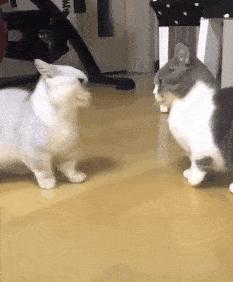 羞耻爆表！这男星演少女太上头，看得我藏在被窝连刷10集