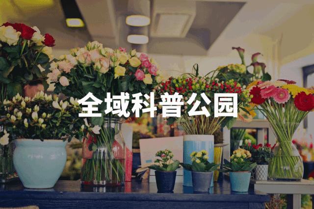 独占魔都第一！领跑未来4000亿的产业！静安这块地方到底什么来头？