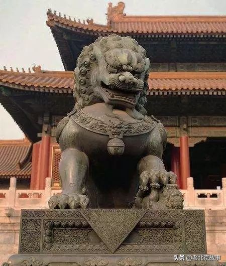 故宫成了动物园,故宫北京动物园