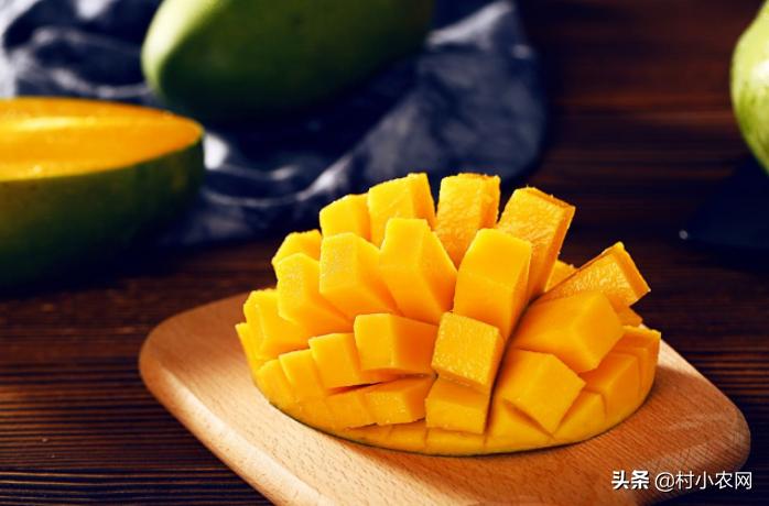 芒果采摘到成熟多少天,芒果怎样才能快速成熟