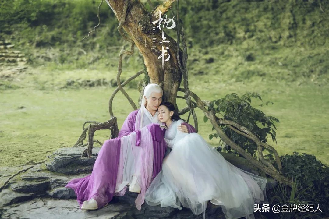 视频播放平台会员,视频平台会员