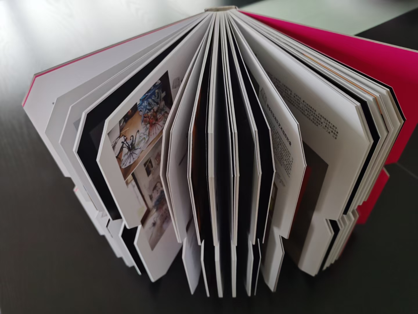 优秀书籍装帧设计作品及文字说明,艺术书籍装帧设计作品